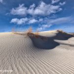 6254 Sand Patterns, Monahans Sandhills State Park, TX