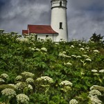 1226 Cape Blanco Lighthouse, Port Oreford, OR