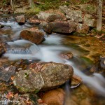 1682 Autumn, Jordan Pond Stream