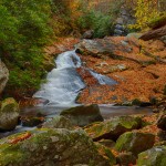 1707 Lynn Camp Prong Cascades with Autumn Color