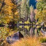 1741 Merced River, Autumn Colors