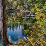 1747 Autumn Color, Merced River