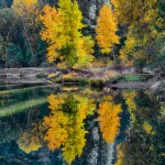 1783 Autumn Colors, Merced River