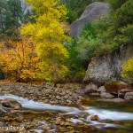 1786 Autumn Colors, Merced River