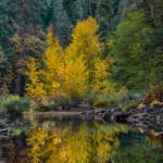 1791 Autumn Colors, Merced River