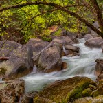 1821 Merced River Downstream from Vernal Falls