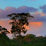 2034 Sunset at Laguna del Lagarto Lodge