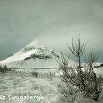 6897 Blizzard, Hellnar, Iceland