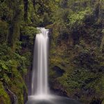 8014 La Paz Waterfall, Costa Rica