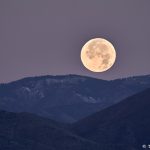 8415 Moonset, Bosque del Apache, NM