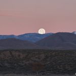8416 Moonset, Bosque del Apache, NM