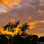 8471 Sunset, Laguna del Lagarto Lodge, Costa Rica