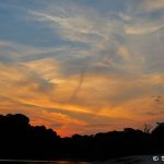 8296 Landscape, Pantanal, Brazil