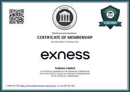 Explore the Benefits of Exness Forex Demo Accounts Explore the Benefits of Exness Forex Demo Accounts